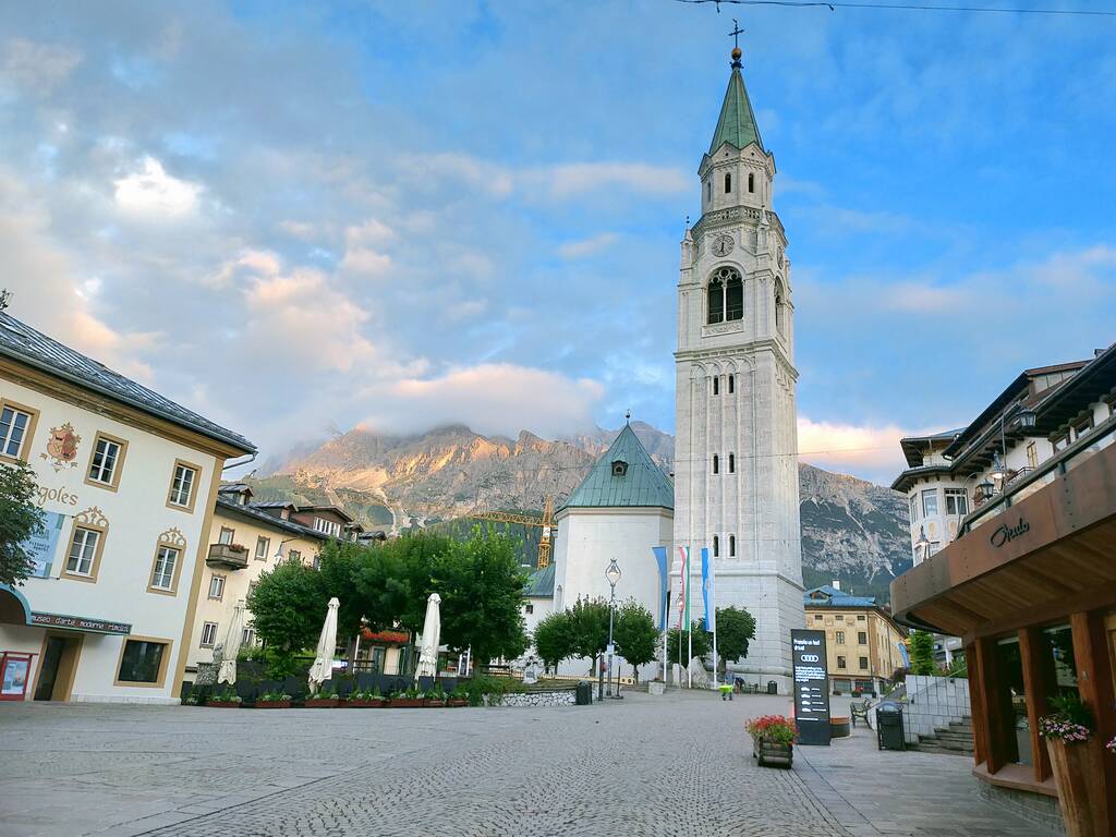 Cortina allalba